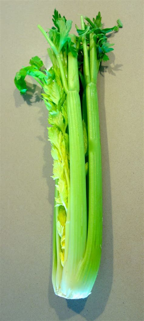 celery groupresult|Celery Root For Erectile Dysfunction .